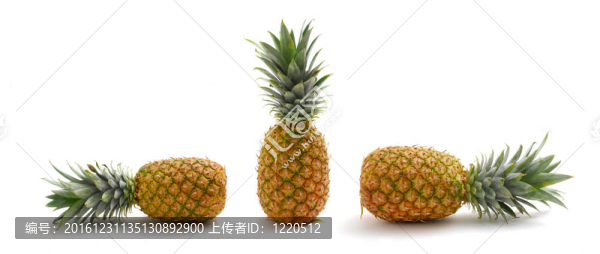 菠蘿