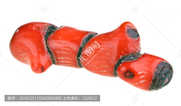 紅珊瑚