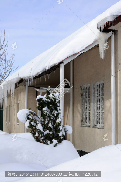 降雪后