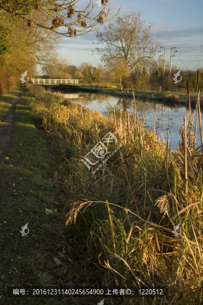 搖擺橋上猴子沼澤鎖在肯尼特和埃文運(yùn)河；Thatcham；伯克希爾公司；英國(guó)