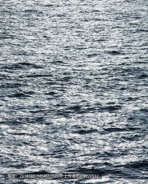 海面脈動