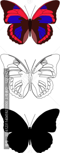 蝴蝶