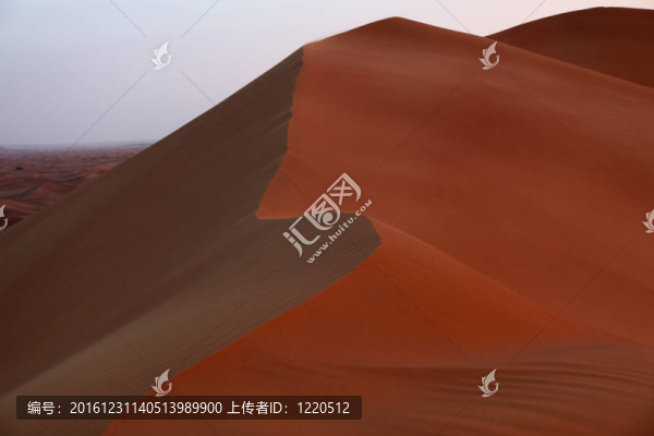 美麗的沙丘的肖像