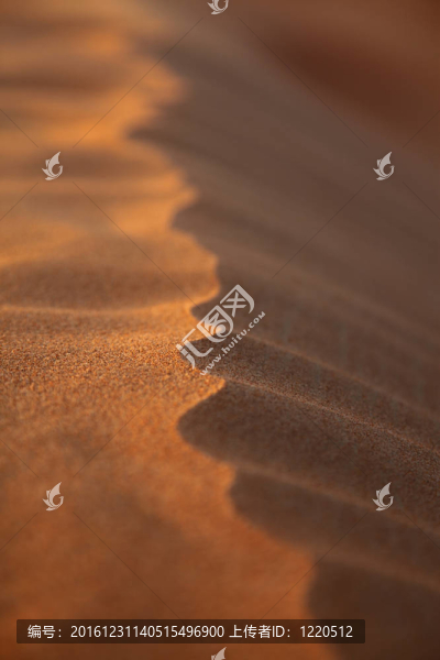 特寫Rippled,Sand,Dune