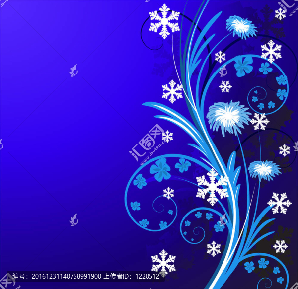 冬季花卉花背景