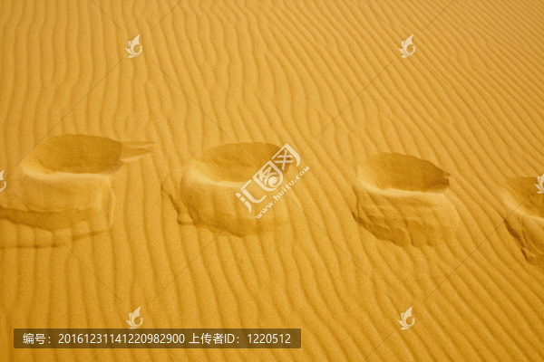 沙丘紋理的足跡