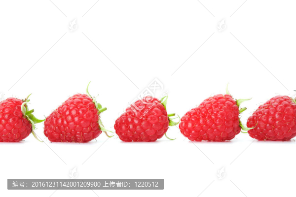覆盆子