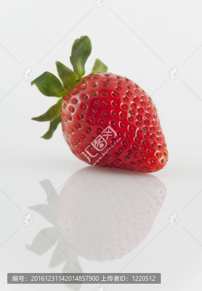 草莓