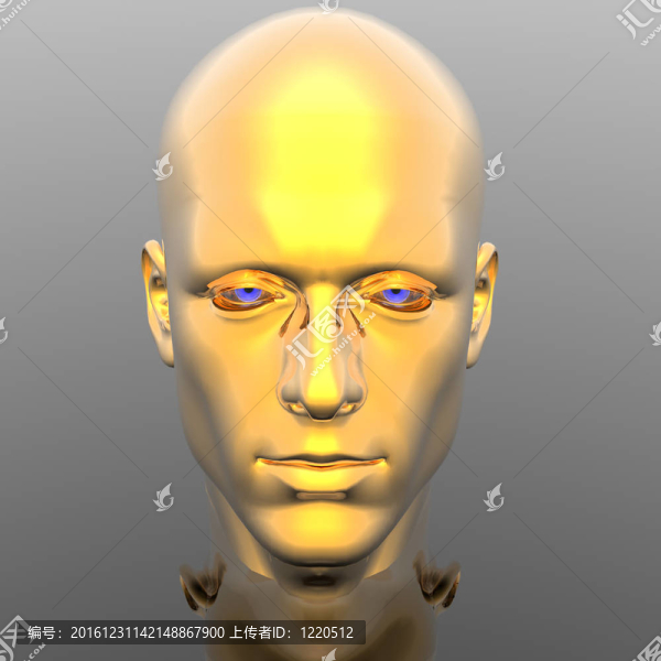 網(wǎng)絡(luò)人的頭