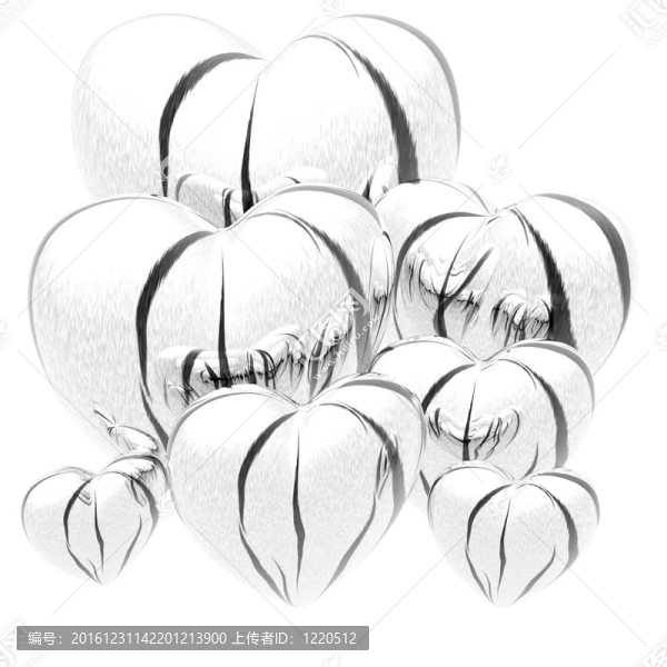 毛皮質(zhì)感的心