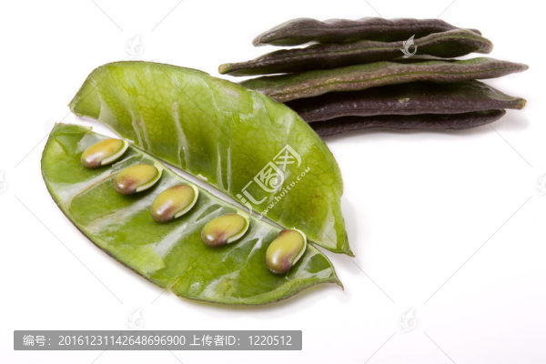印度豆