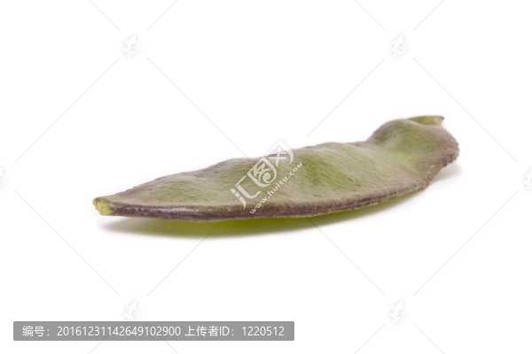 印度豆