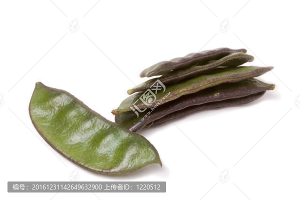印度豆