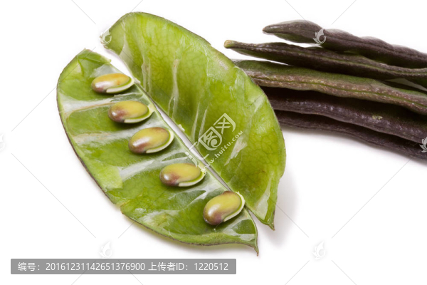 印度豆