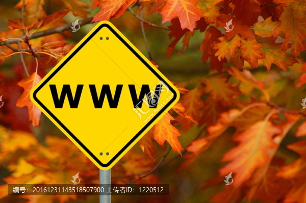 互聯(lián)網(wǎng)