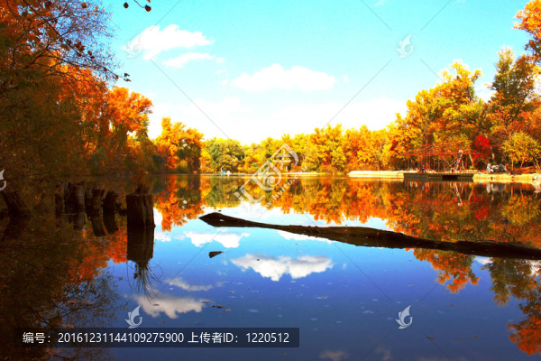 Kyiv的秋天