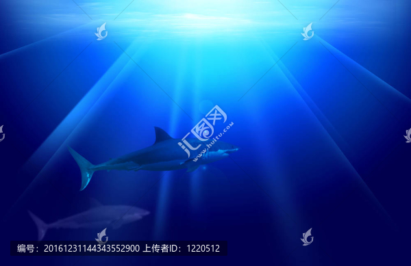 在水下