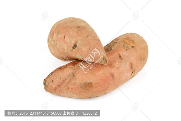 甘薯
