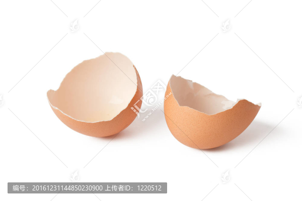 雞蛋殼