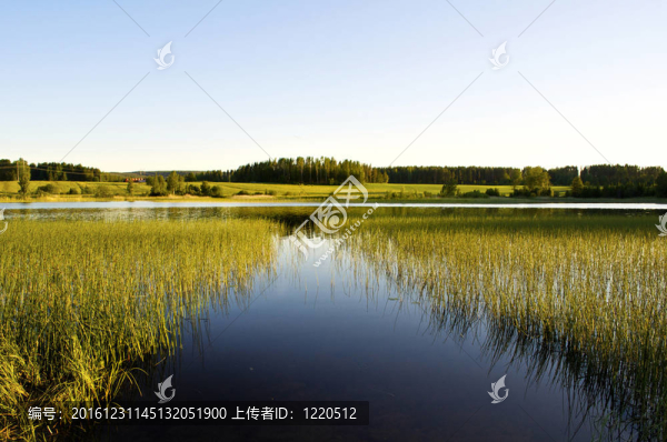 平靜的湖