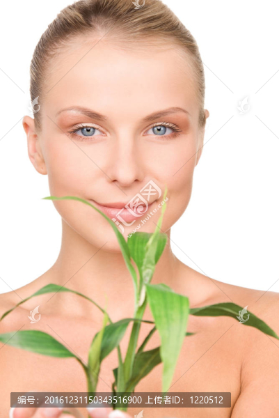 女人的萌芽