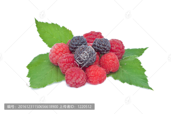 覆盆子和黑莓水果與綠葉