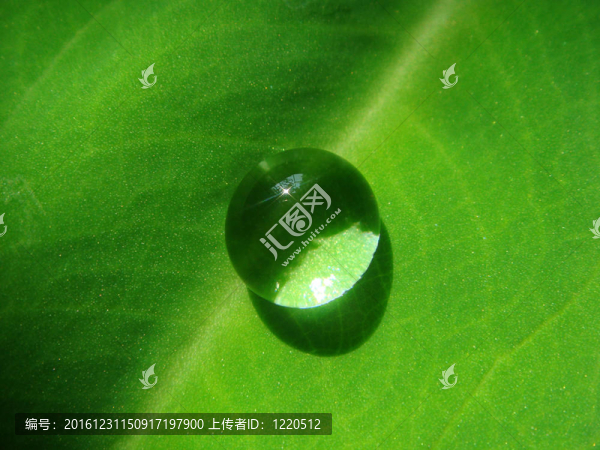 水滴