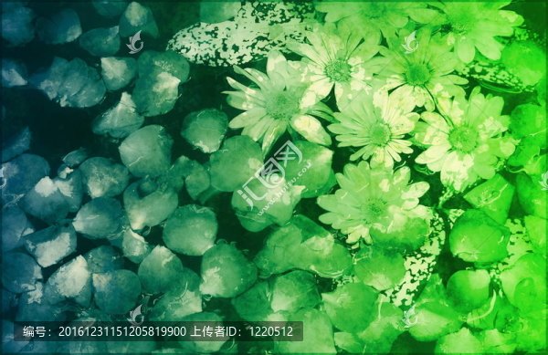 純真在大自然中畫了花