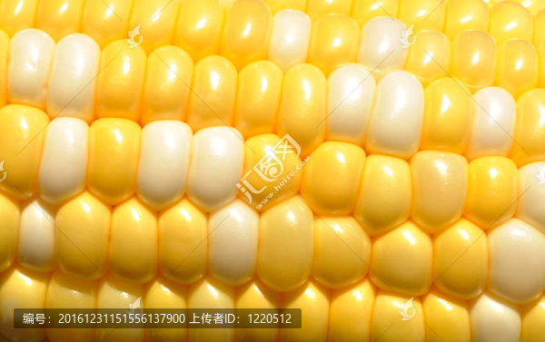 雙色玉米棒