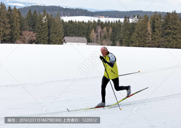 冬季越野滑雪