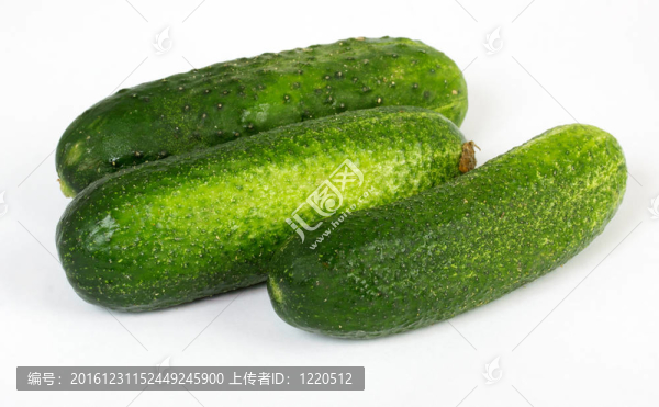 白色背景上的新鮮綠色黃瓜
