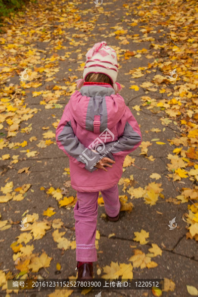 粉紅色的衣服的小女孩在秋天的公園徒步獨行