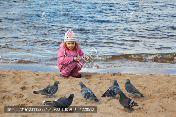 小女孩秋天坐在水邊的沙灘上喂一群鴿子。