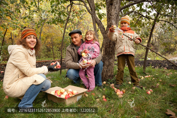 母親；女兒；兒子和祖父在水果園