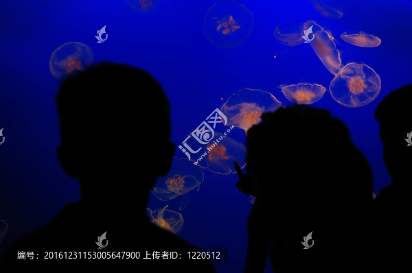 在水族館里學(xué)習(xí)水母的一群兒童