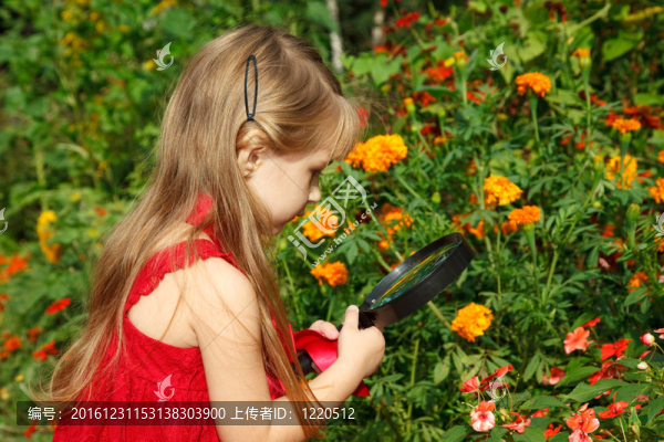 穿紅衣服的小女孩透過放大鏡看花。