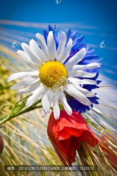 花