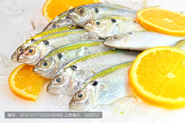 黃鲹魚(yú)