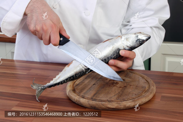 廚師和魚