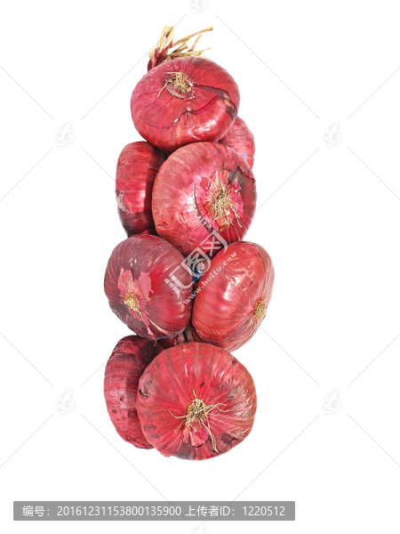 紅onion.isolated捆。