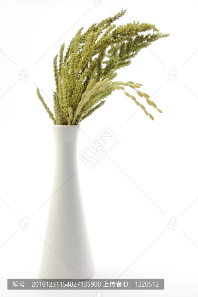 稻草耳