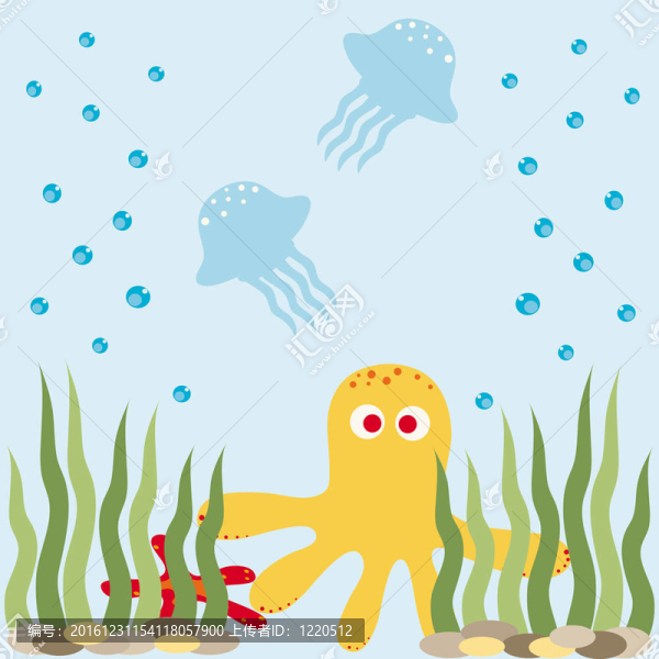 水下的世界