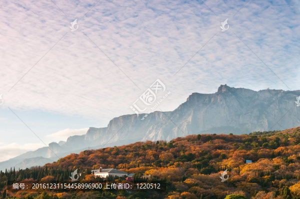 五彩山林下