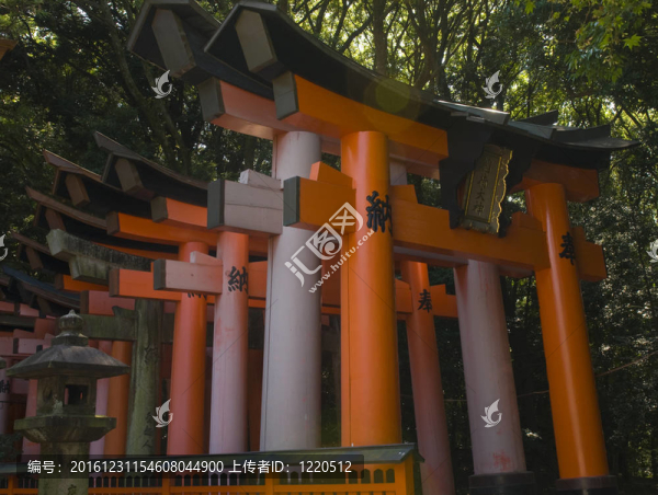 Fushimi,Inari,Taisha；京都