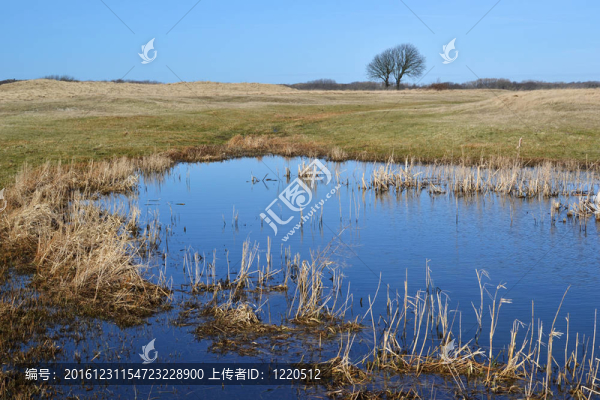 沙丘溪。
