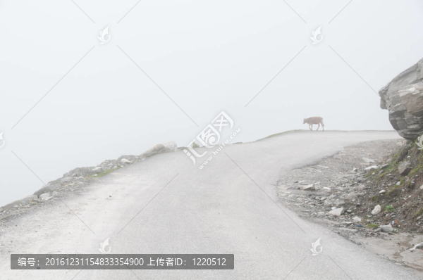 山中神秘迷霧