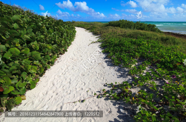 白沙之路。大西洋。吉耶爾莫島。古巴.