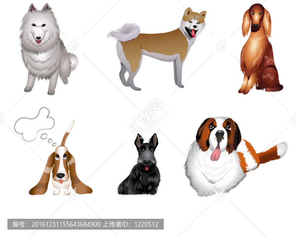 犬種