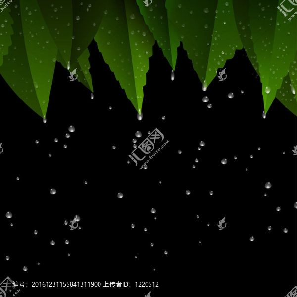 雨后的綠葉