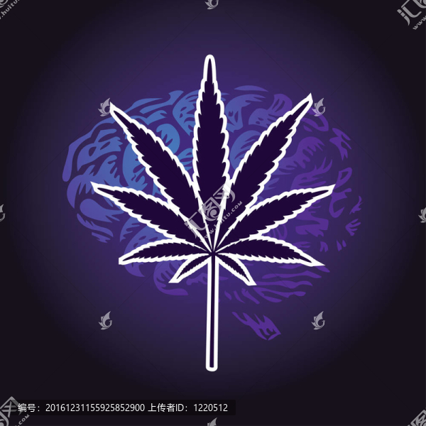 大麻葉和人腦背景-插圖